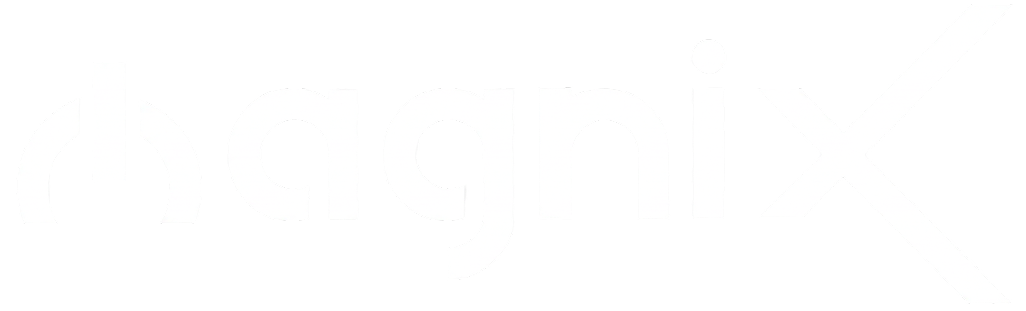 MagniX_logo.svg 1