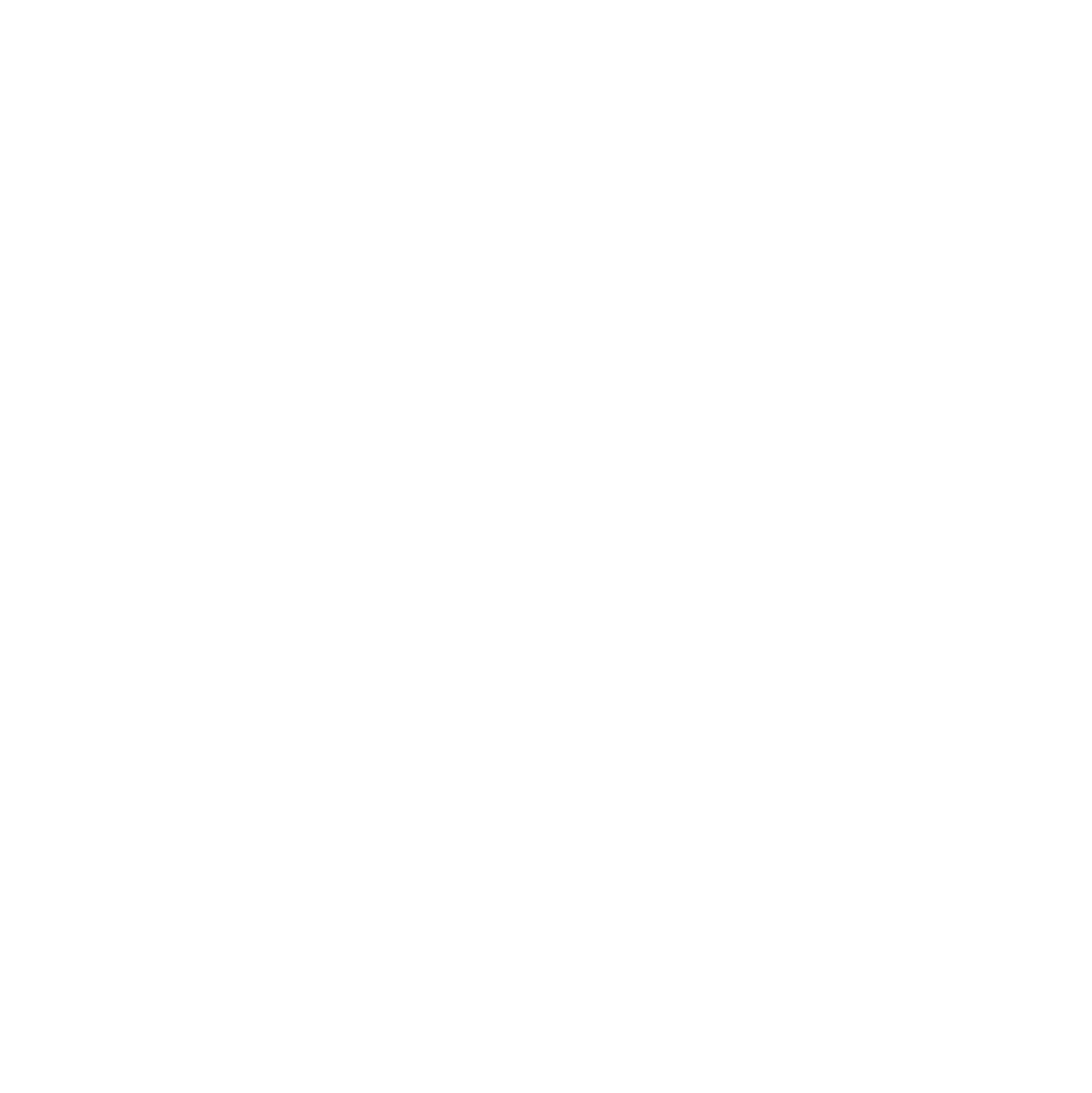 NSF_AllWhite_bitmap_Logo-1